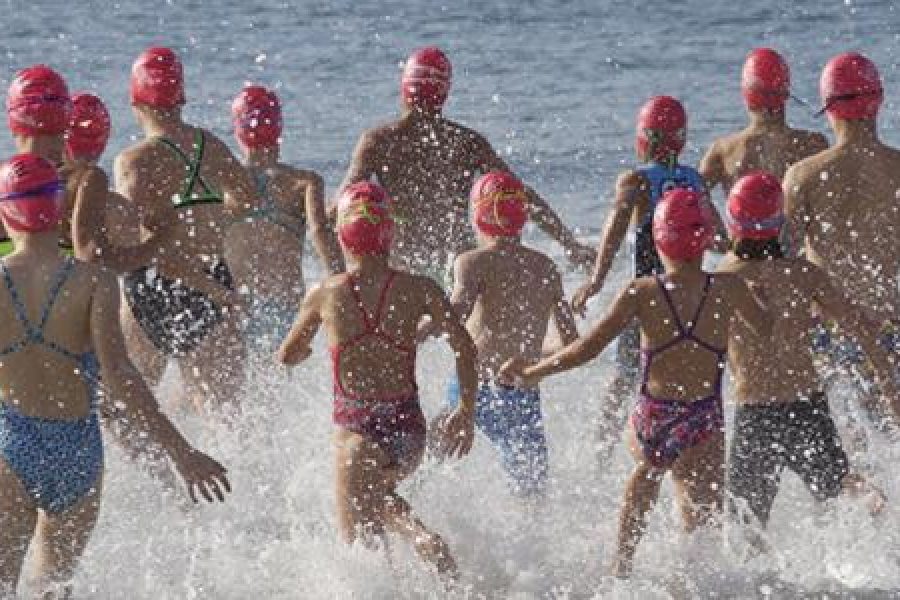 Ocean Swim 2015